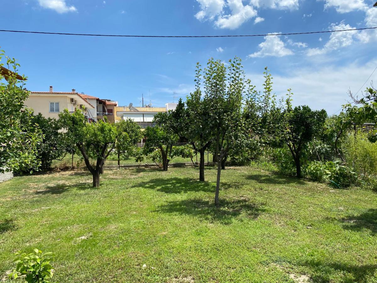 ניאה סקיוני Sofia Guesthouse מראה חיצוני תמונה